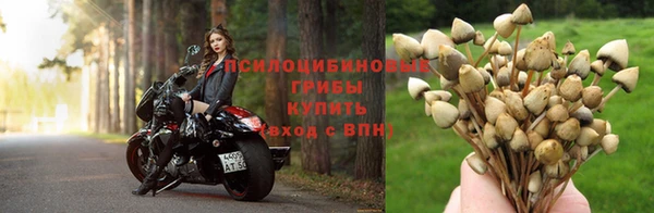гашиш Алзамай