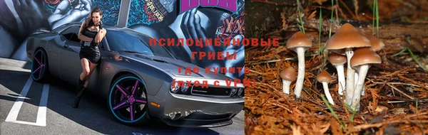 амф Алексин
