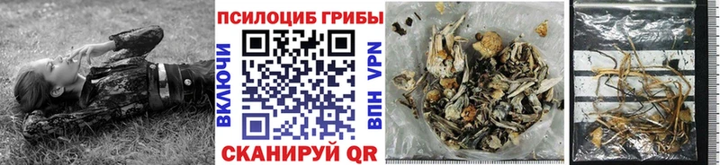 Псилоцибиновые грибы GOLDEN TEACHER  купить закладку  Порхов 